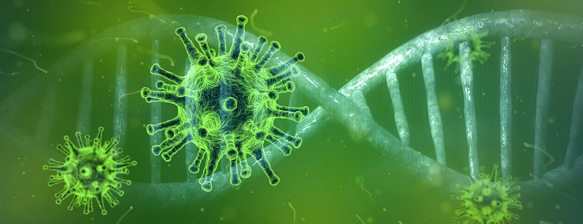 Coronavirus Header
