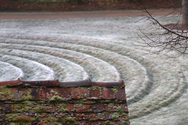 Zengarten Im Frost 600x400 Wl