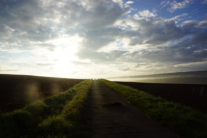 Wahre Schönheit – Wo der Himmel die Erde berührt