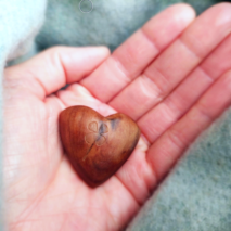 Herz JD 600x450 Bearbeitet Herz JD 600x450 Bearbeitet