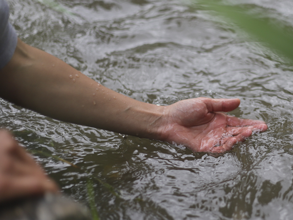 Hand Im Wasser