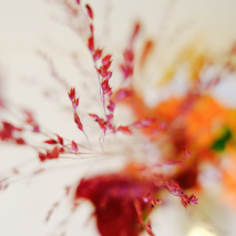 Benediktushof aktuelle Kurse