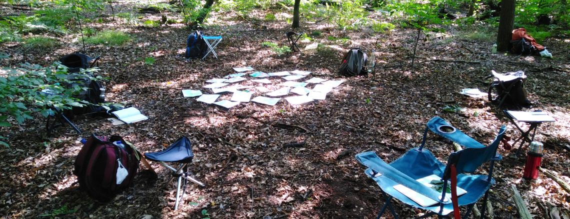 Waldbaden Stühle 1140x438