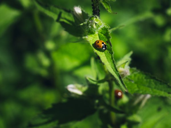 Würde zeigt sich nicht nur in großen Gesten, sondern in kleinen, alltäglichen Momenten Würde zeigt sich nicht nur in großen Gesten, sondern in kleinen, alltäglichen Momenten