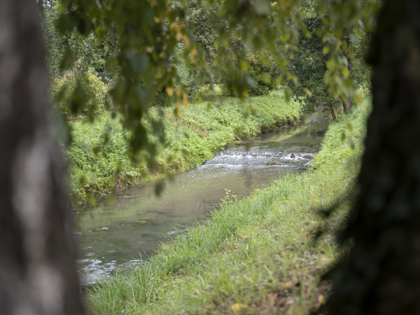 Aalbach am Benediktushof