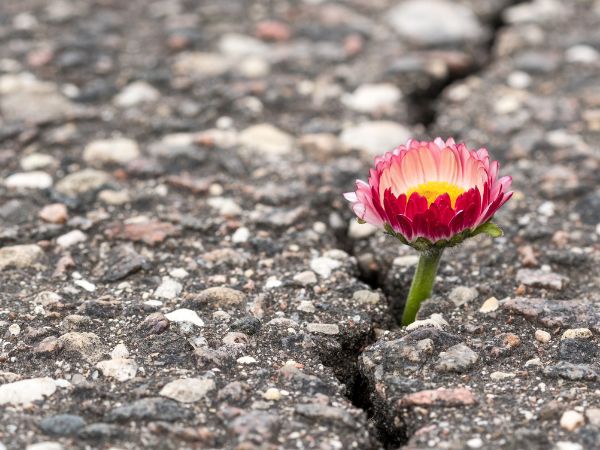 Benediktushof spiritueller Impuls Veränderung Spiritueller Impuls von Fernand Braun, Mitglied der spirituellen Leitung am Benediktushof