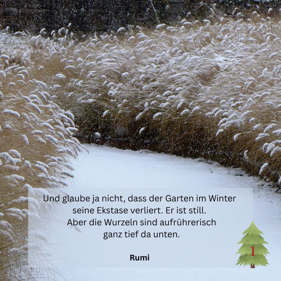 Benediktushof - Adventskalender 2025 - Meditation, Achtsamkeit und Spiritualiät - 1. Dezember