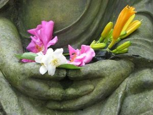 Der Weg in eine fundierte Meditationspraxis – Kontemplation & Spiritualität