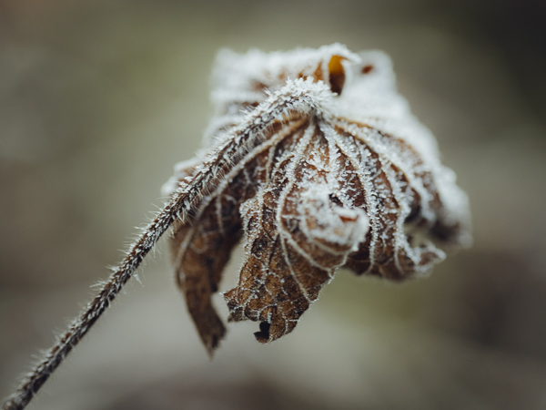 ein kleiner Raum ein kleiner Raum
