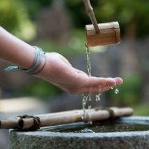 Kraft Schöpfen Benediktushof Kraft Schöpfen Benediktushof