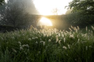 Spiritueller Impuls: „Auferstehung ereignet sich jetzt“ – Zen, Kontemplation & Spiritualität