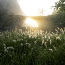 Auferstehung ereignet sich jetzt