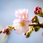 Die eigenen Potenziale entfalen