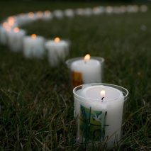 Ostern ist das Fest des Lebens Ostern ist das Fest des Lebens