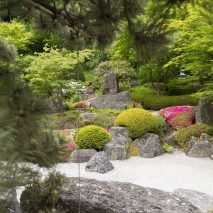 Zengarten Gesamt Daniel Peter Zengarten Gesamt Daniel Peter