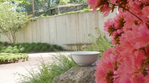 Eine Schale Tee im Garten der Stille genießen