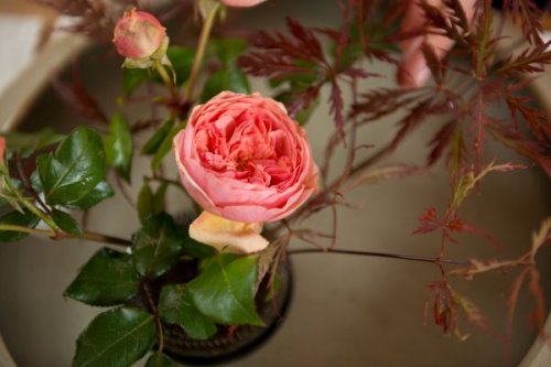 Ikebana am Benediktushof