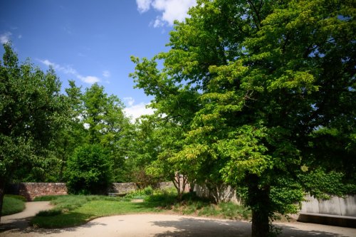 Hof Garten (12)