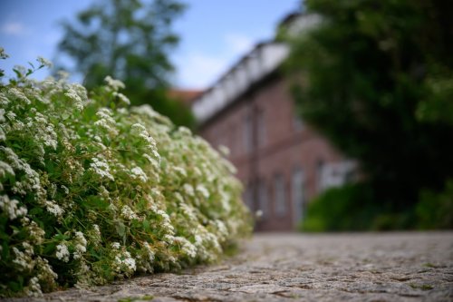 Hof Garten (13)