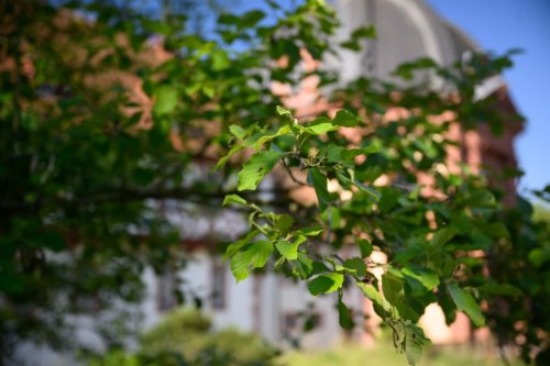 Hof Garten (7)