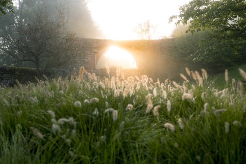 Laby GartenStille9
